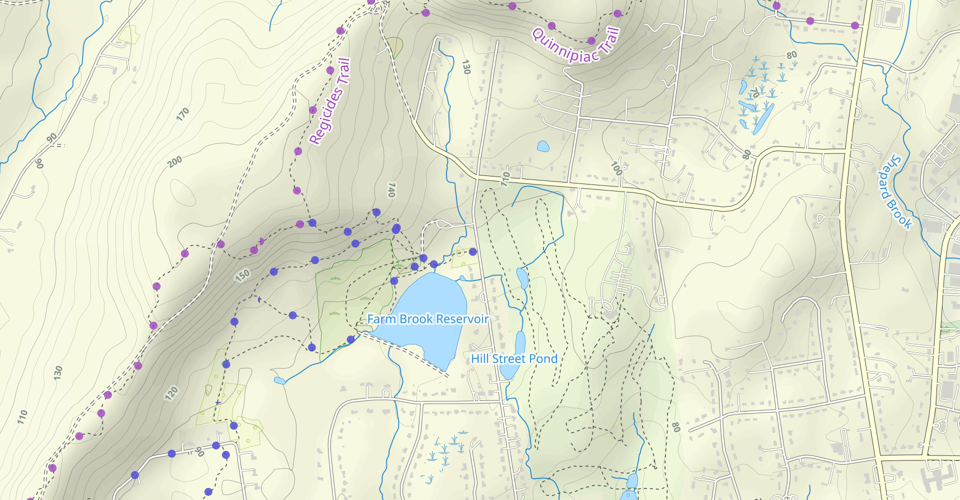 Hike West Rock North Loop (Blue, Yellow, Red Blazes)