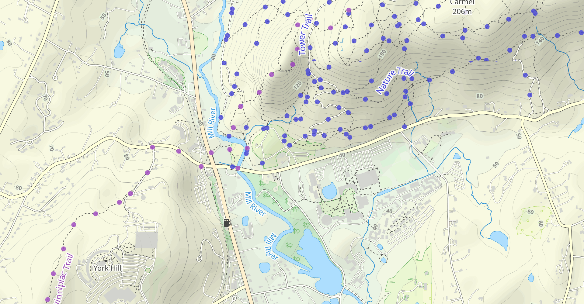 Hike Blue Trail Loop
