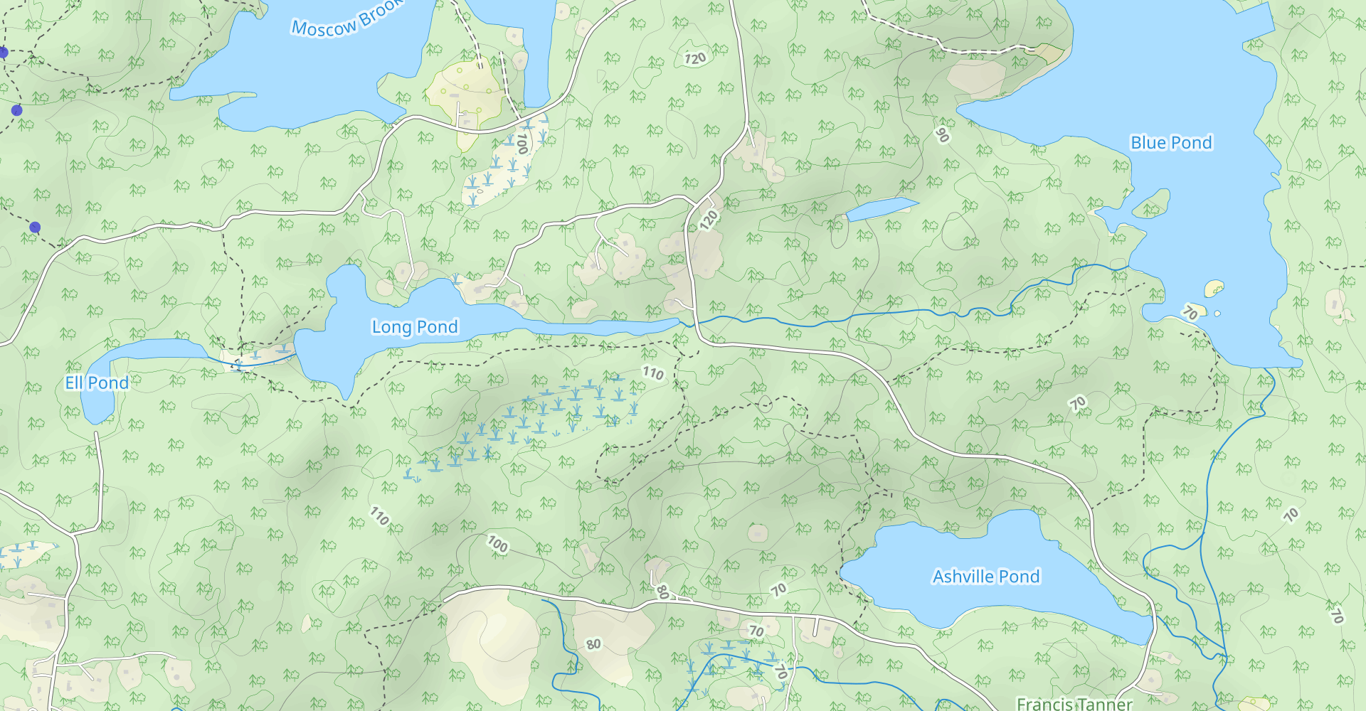 Long Pond Woods Trail