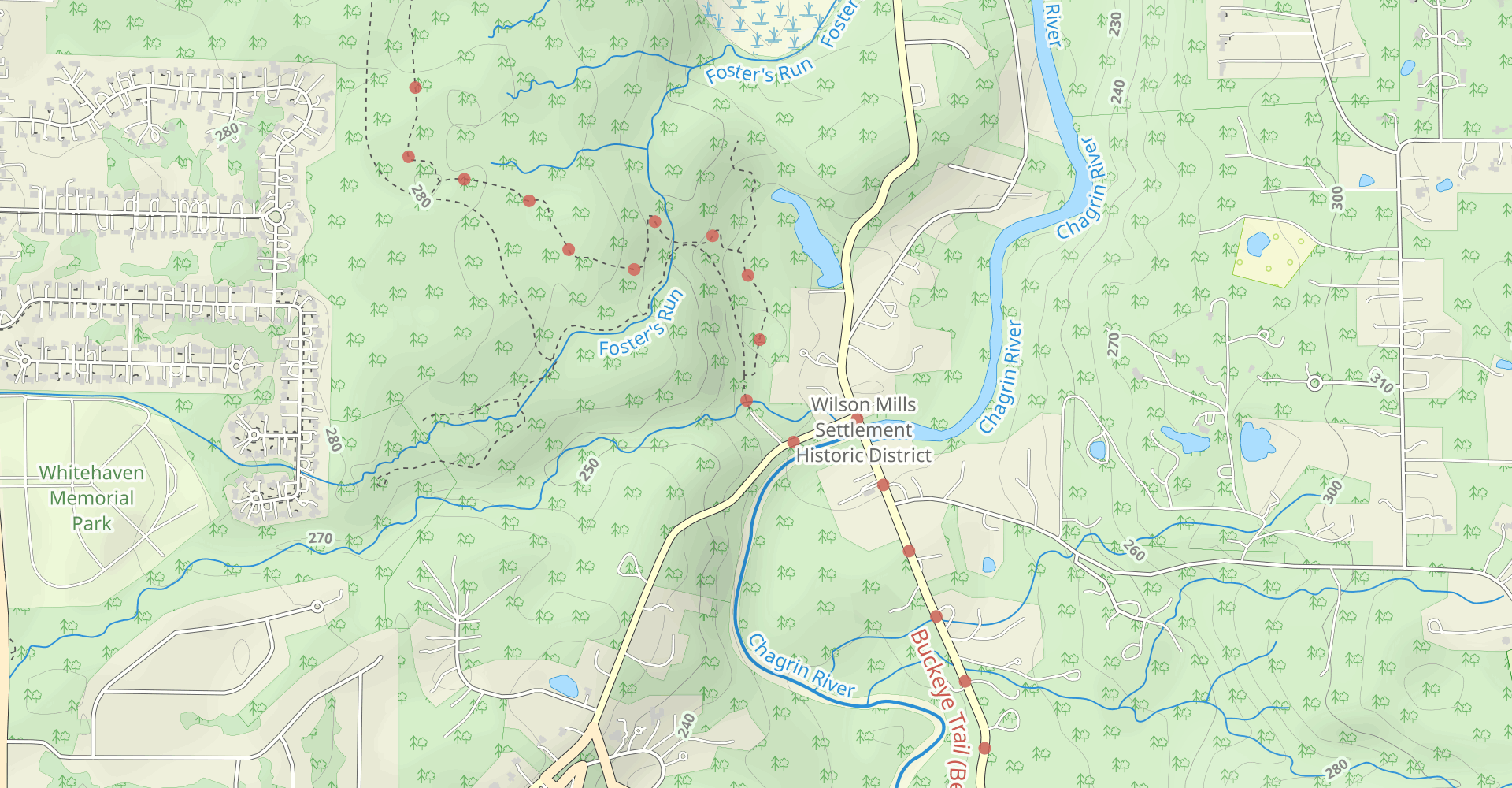 Bridle Trail