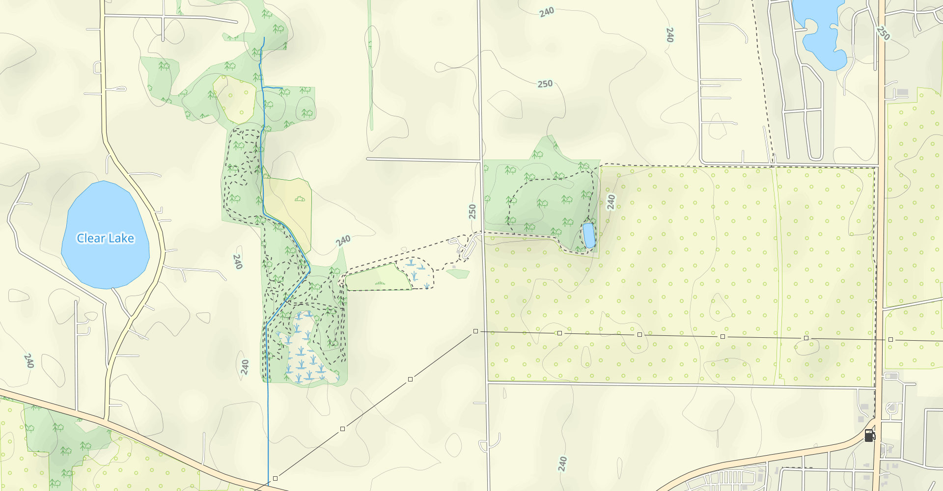 Hike Bluhm East Woods And Lincoln Memorial Trails
