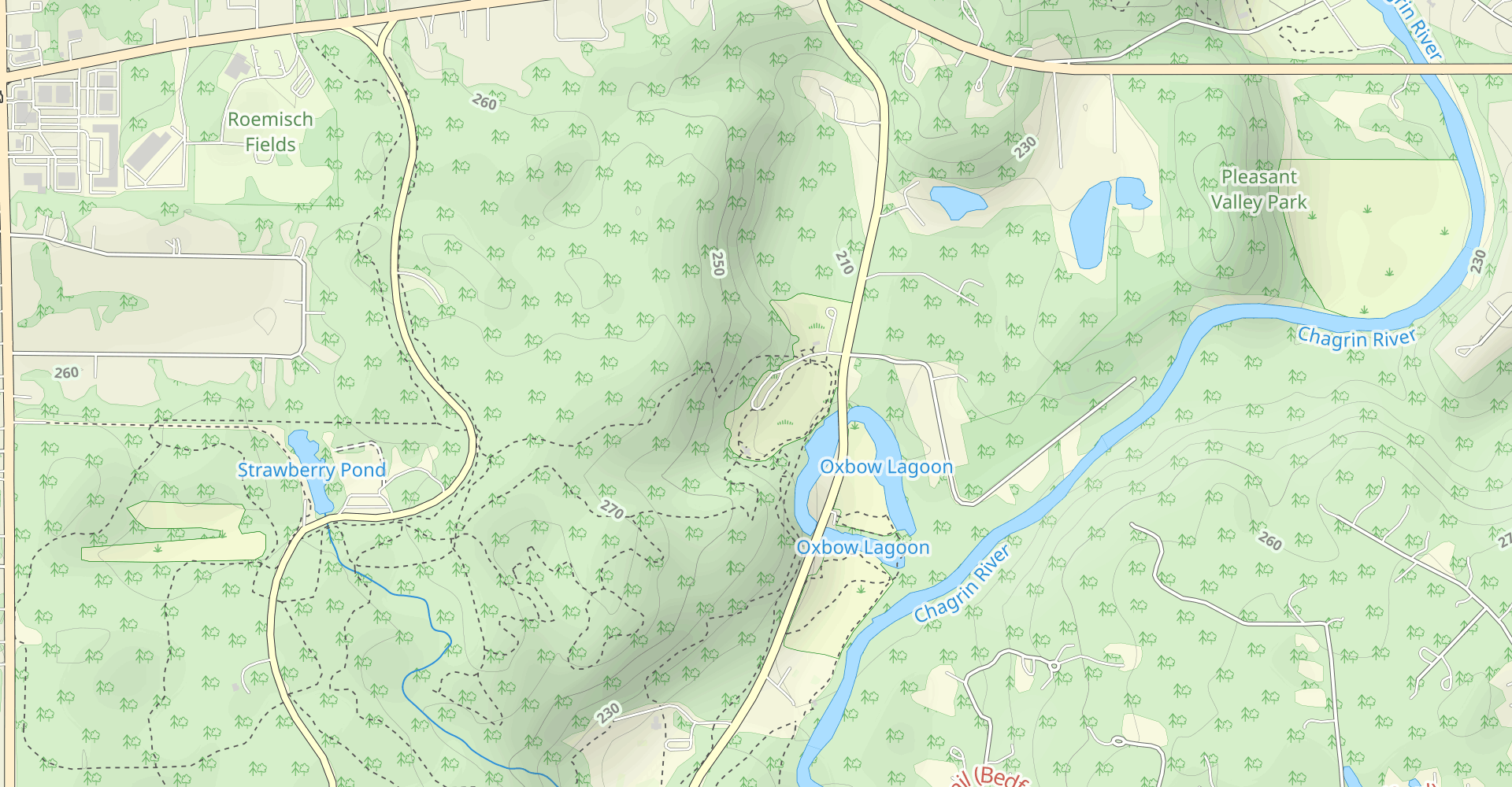 Bridle, White Pine, Scenic Loop and Squire's Lane