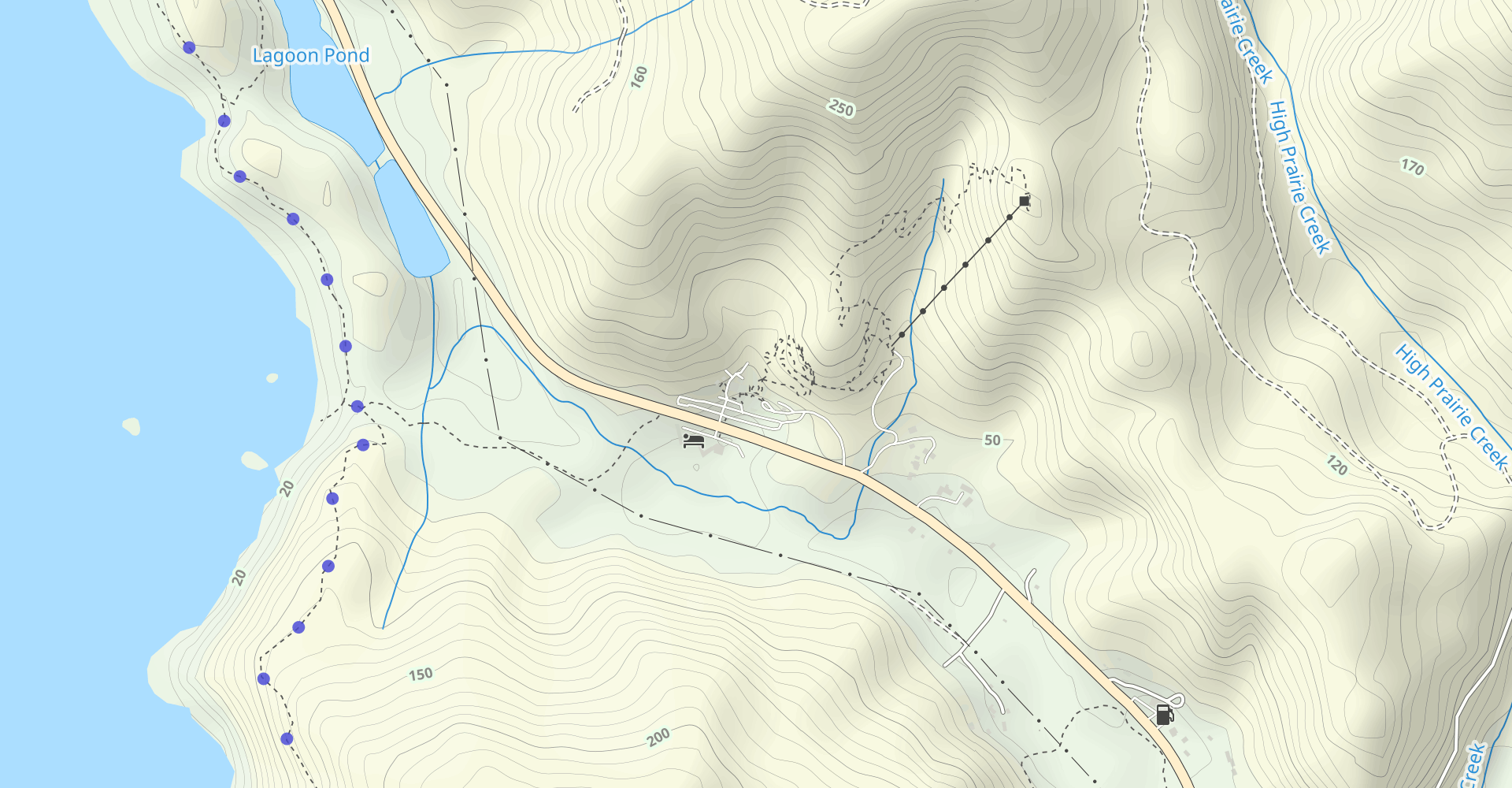 Trees of Mystery Trail