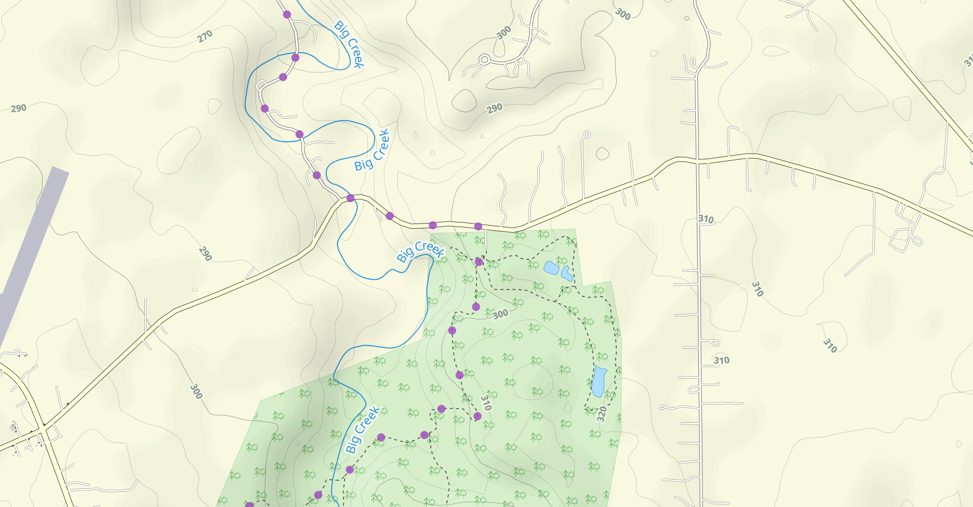 Surveyor's Woods Loop Trail