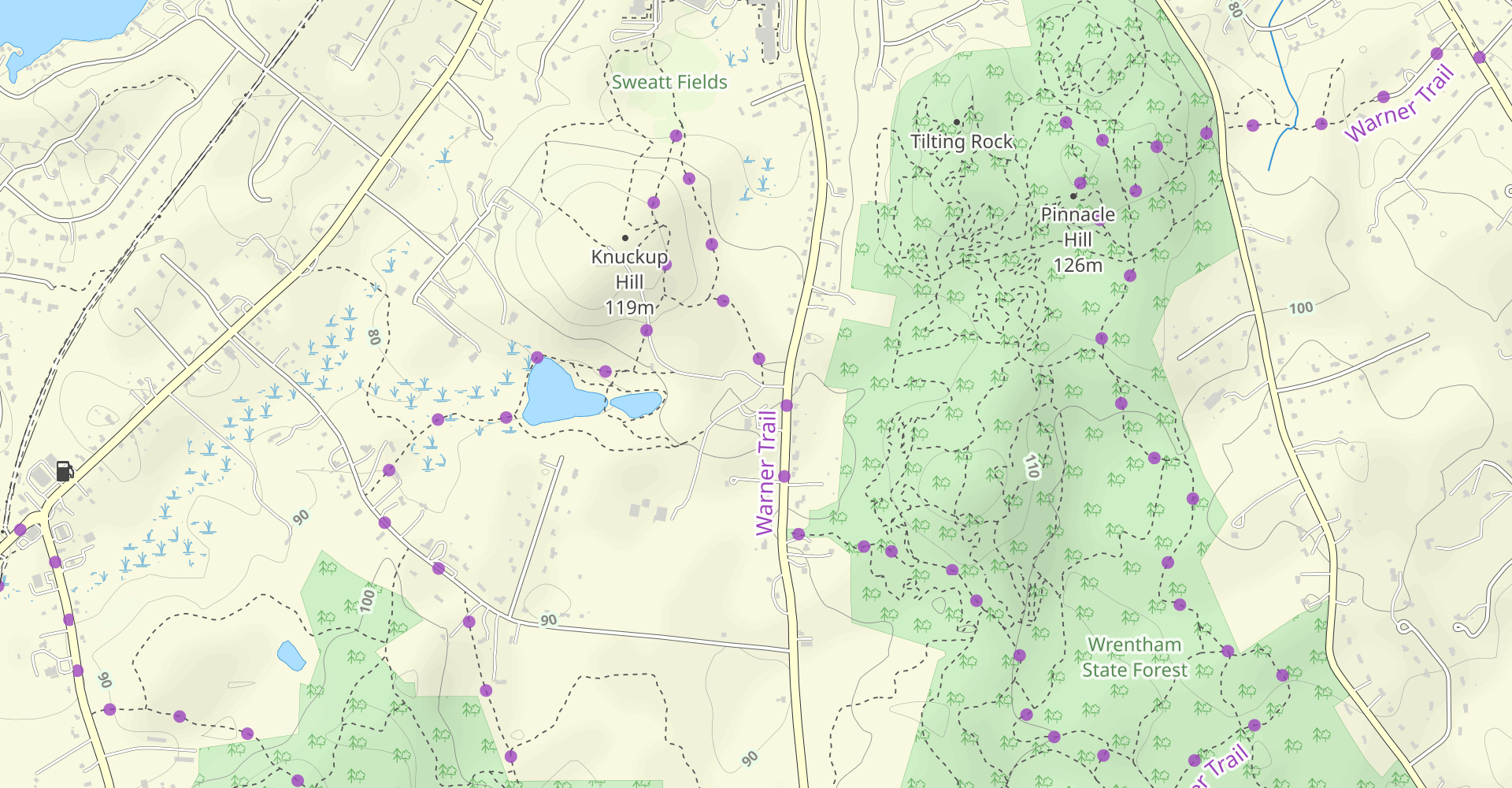 Knuckup Hill (Sweatt Hill) and Trout Pond