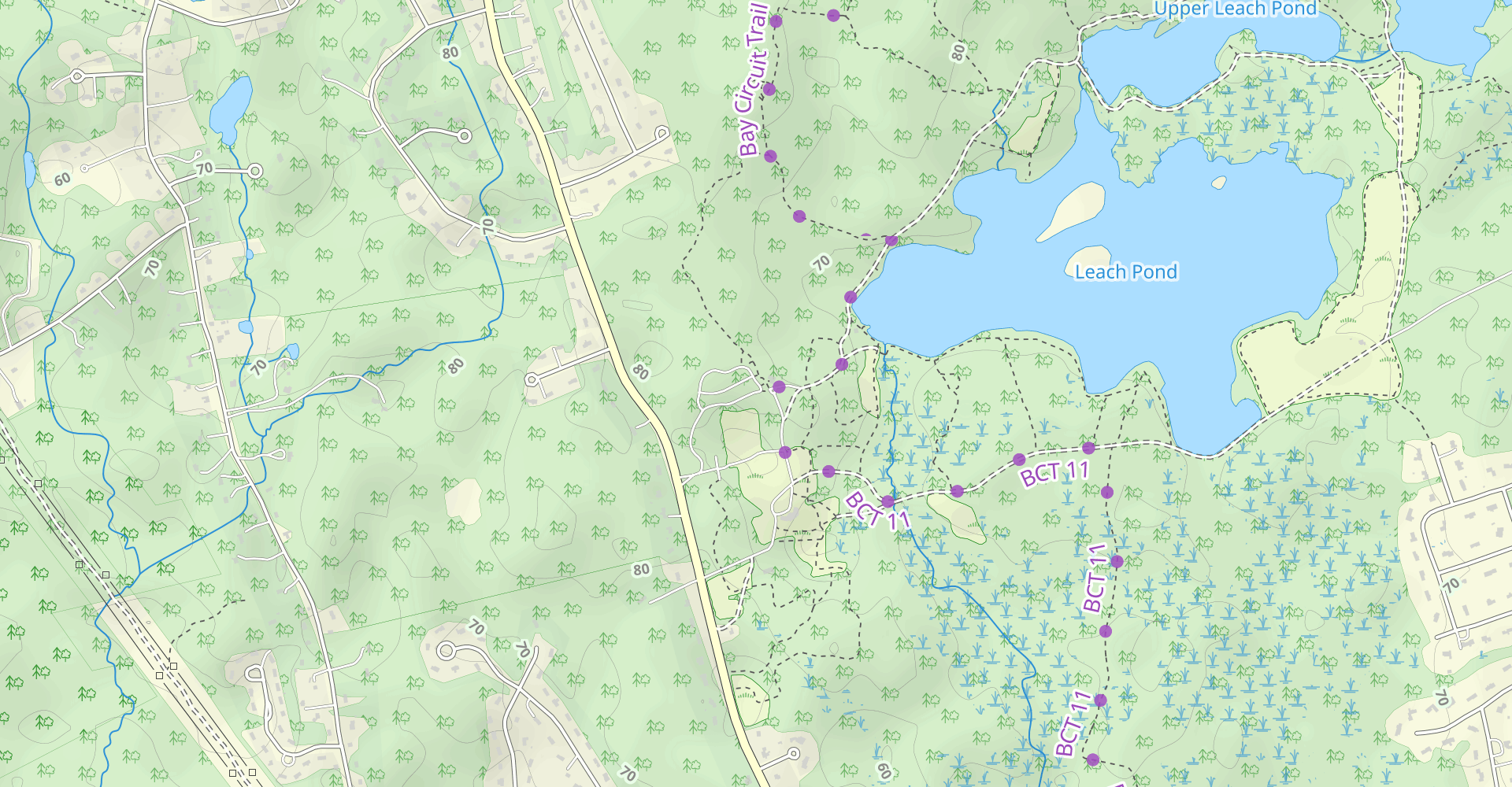 Leach Pond Trail