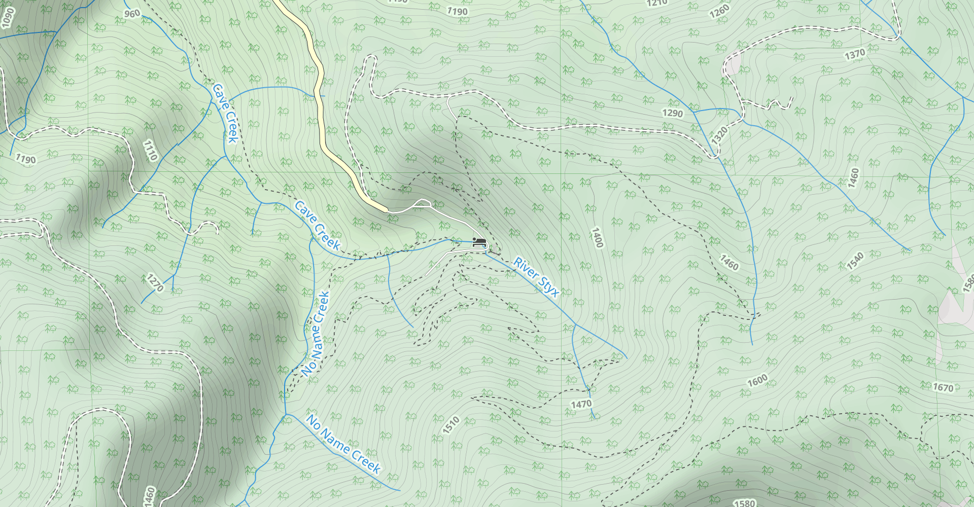 Big Tree Loop