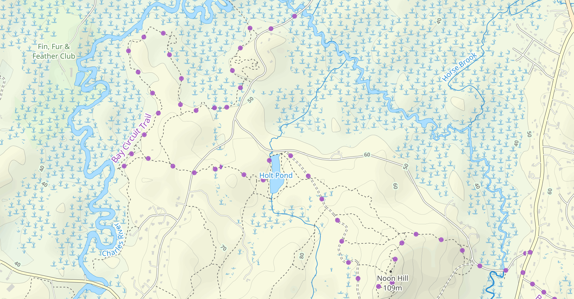 Medfield Conservation and Noon Hill Lookout Loop