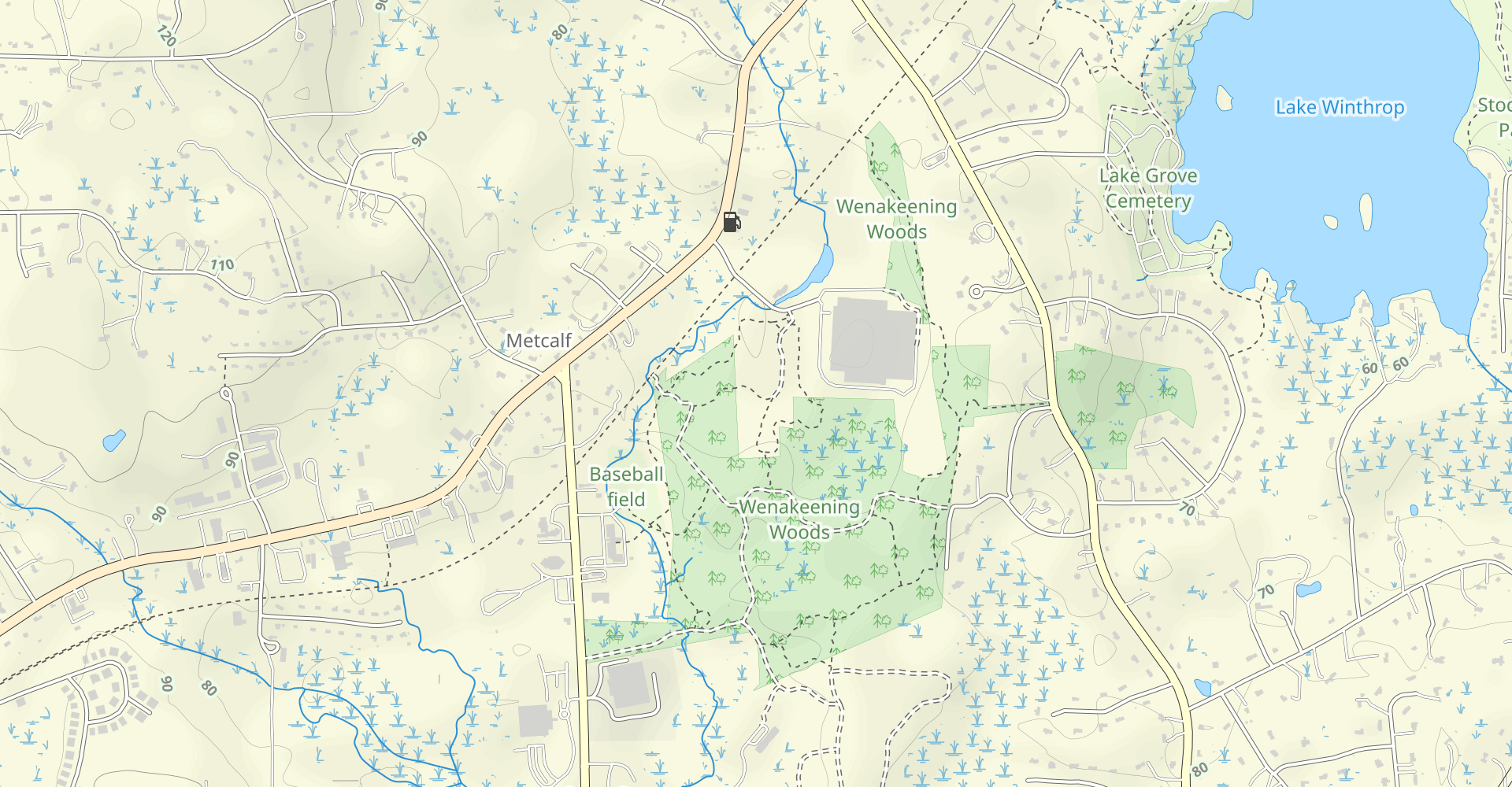 Wenakeening Woods and Idylbrook Loop