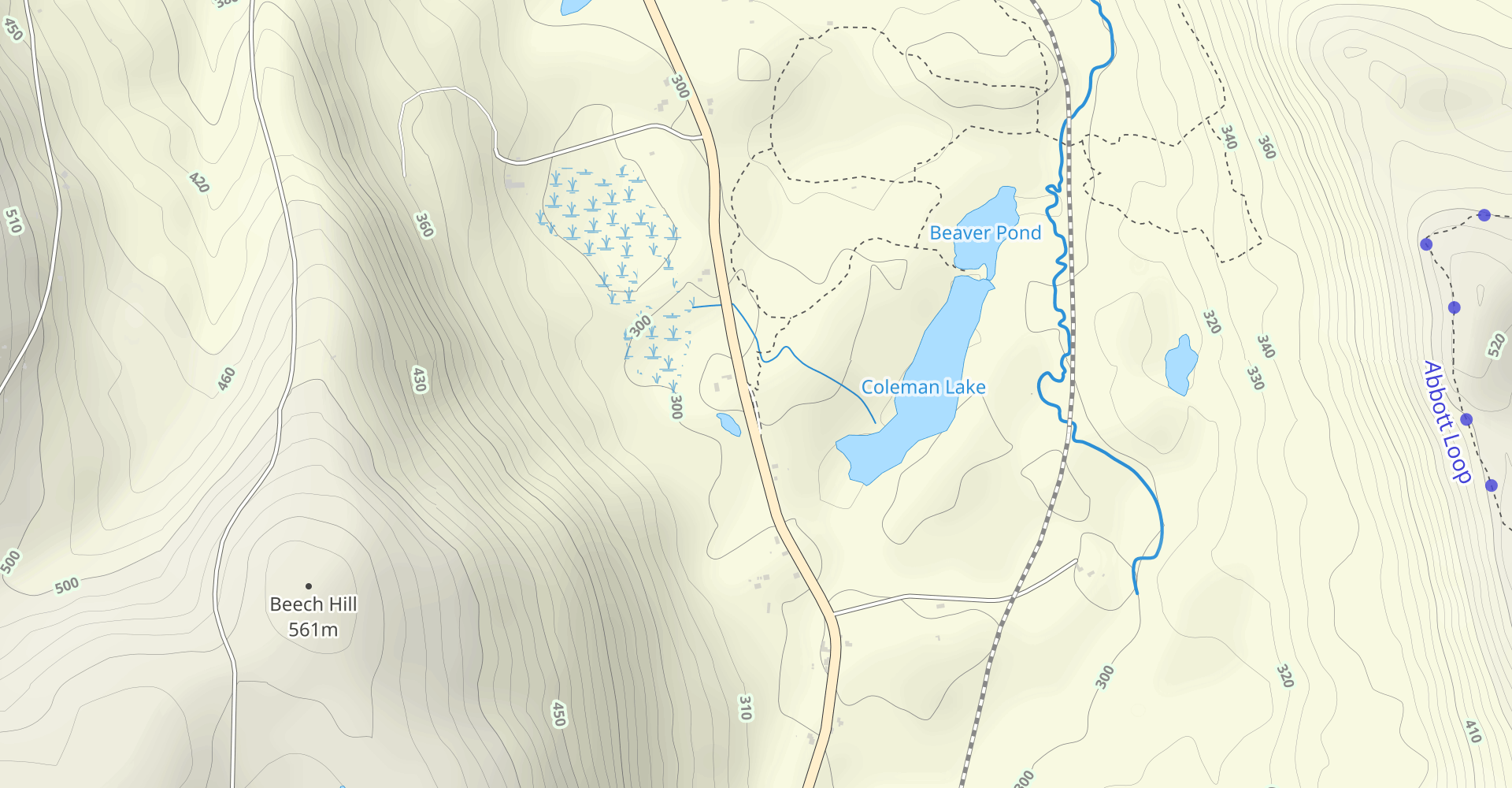 Lindsay-Parsons Biodiversity Preserve Trails