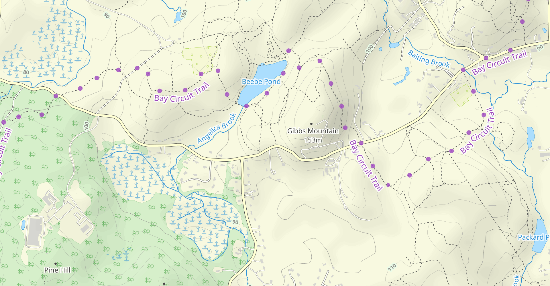 Bear Paw, Backpacker, and Pine Tree Loop