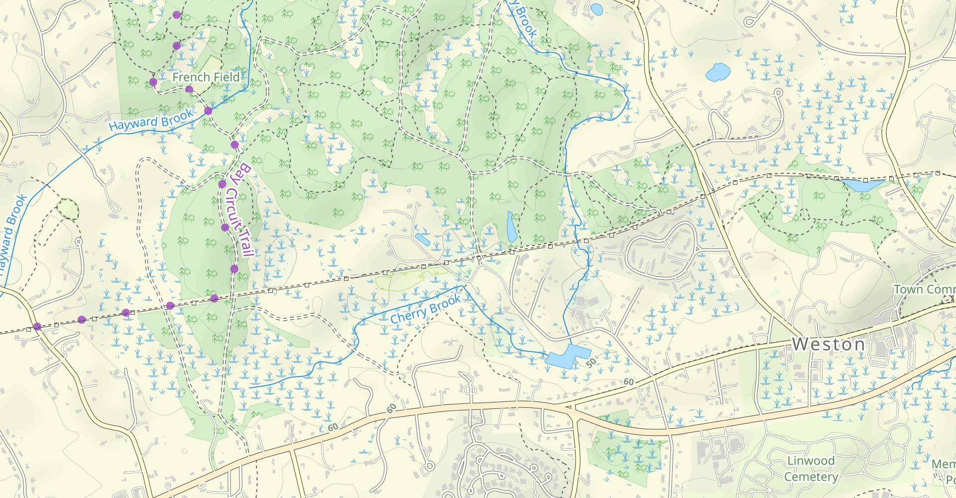 Jericho Town Forest Loop via Warren Avenue