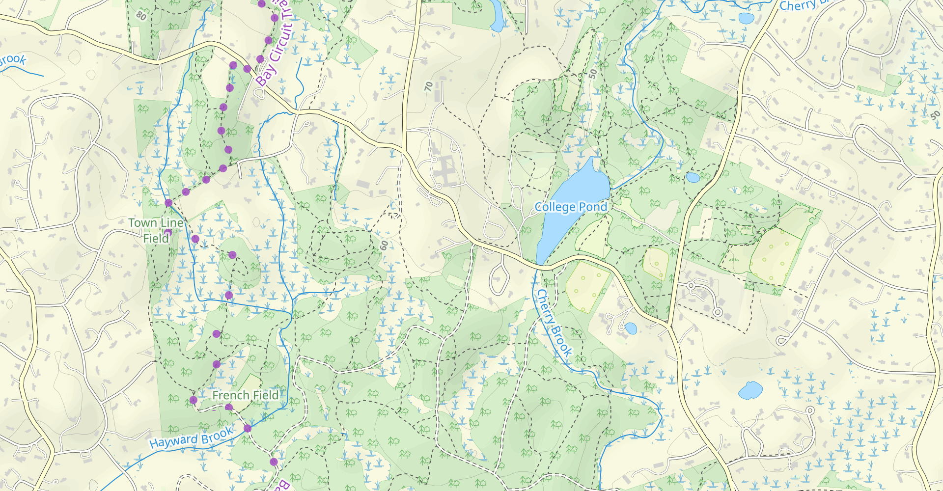 Jericho Town Forest Loop via Concord Road