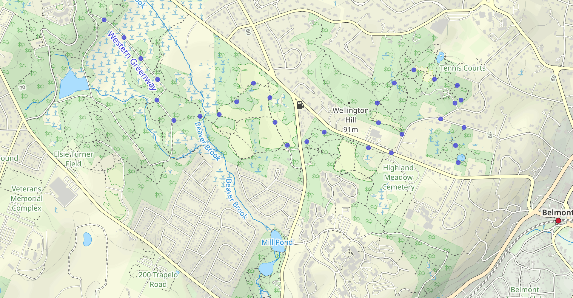 Western Greenway Loop
