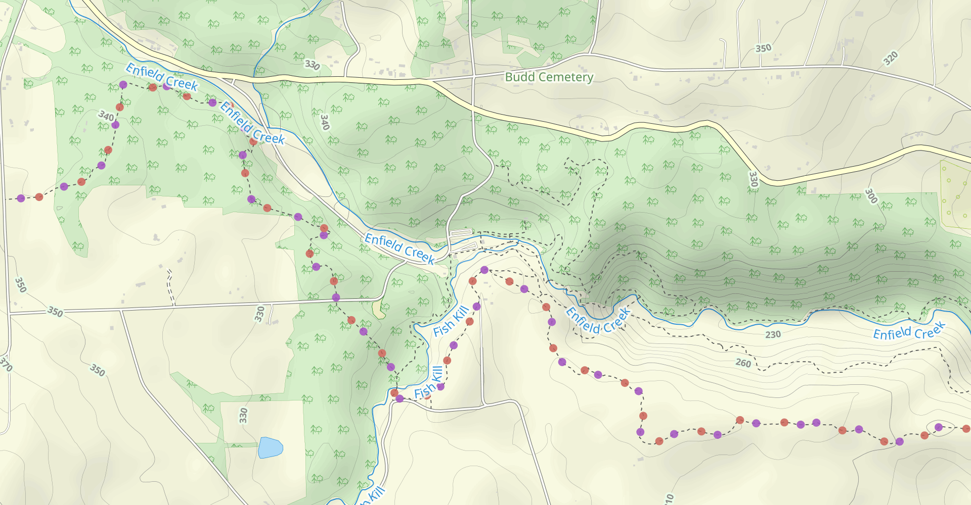 Enfield Creek Gorge Trail and Rim Trail Short Loop