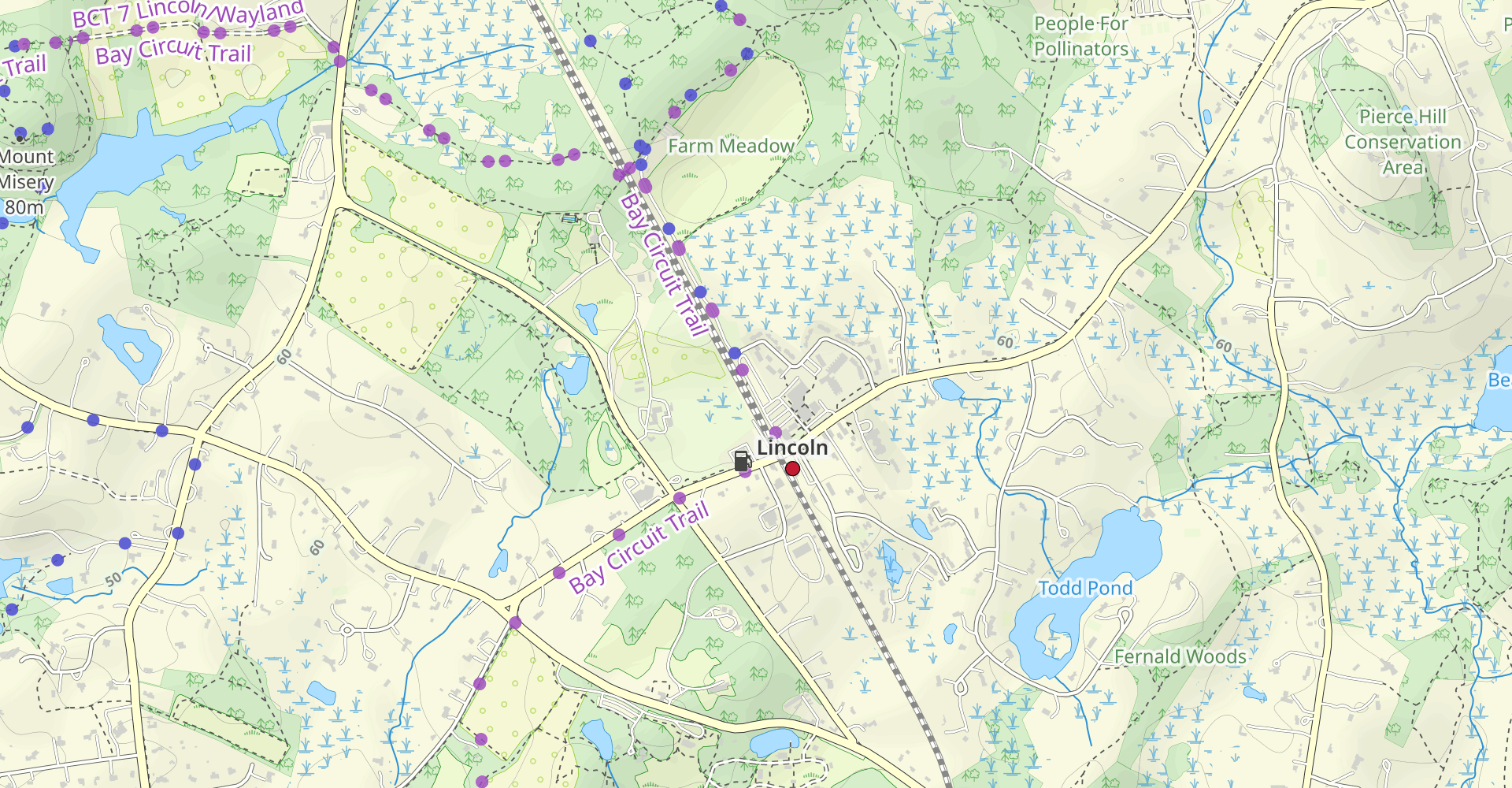 Lincoln to Walden Pond