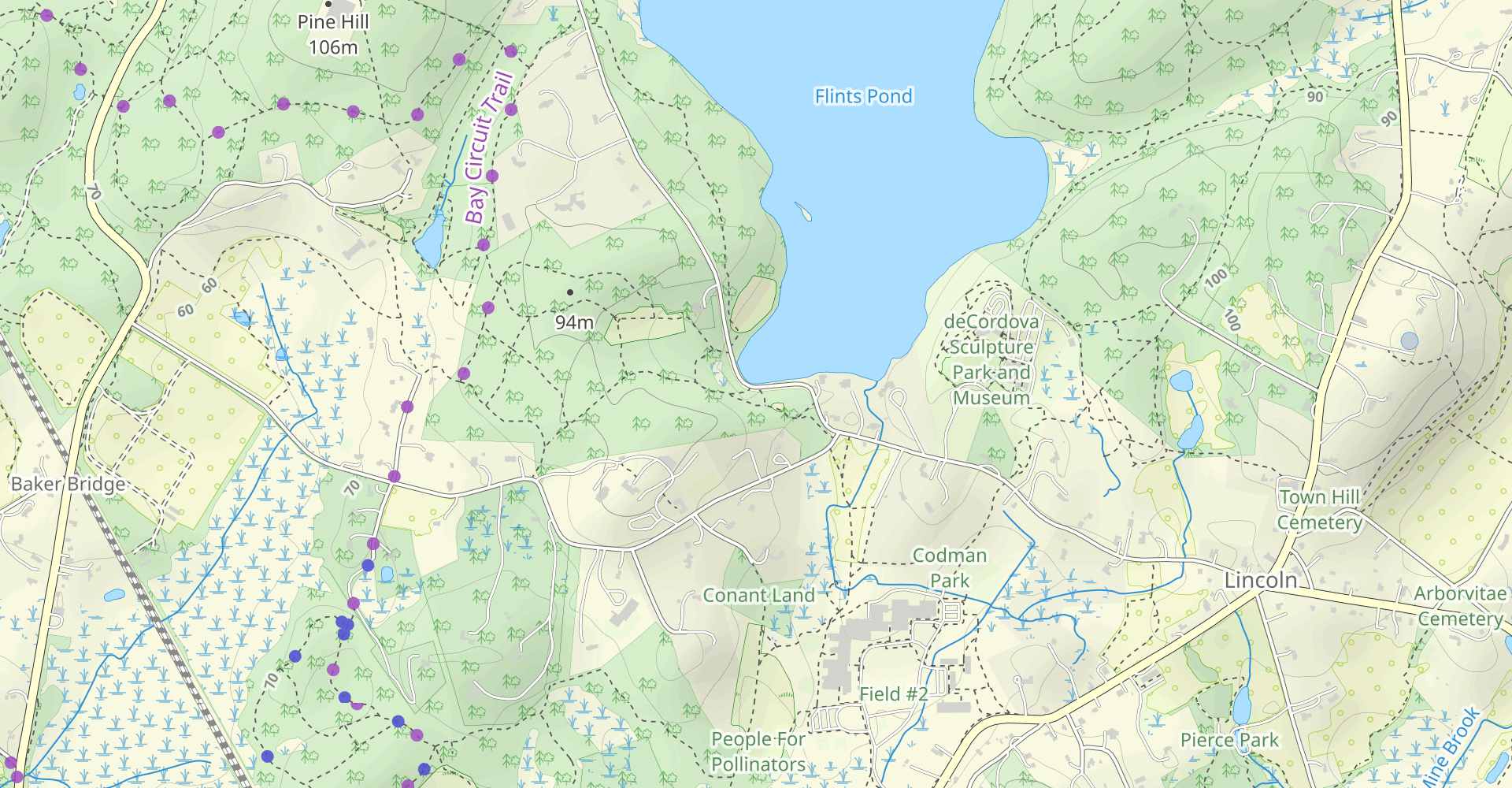 Sandy Pond Trail