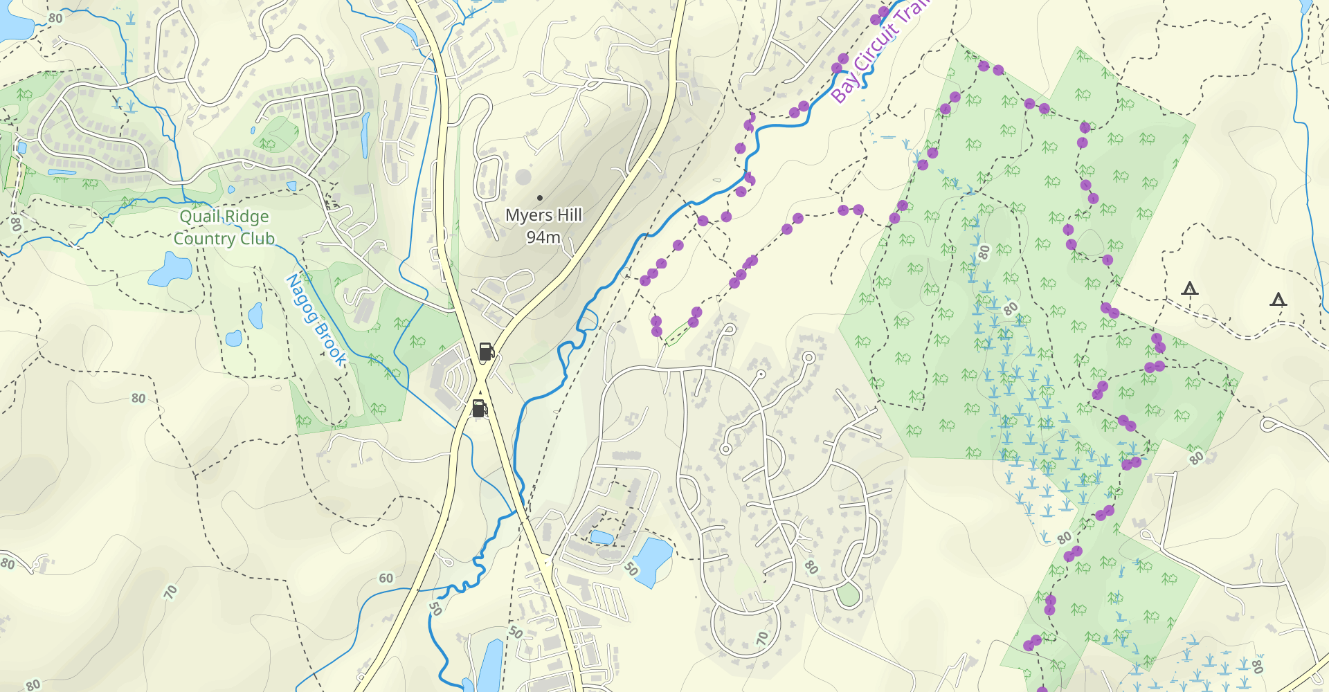 Nashoba Brook and Spring Hill Yellow Loop