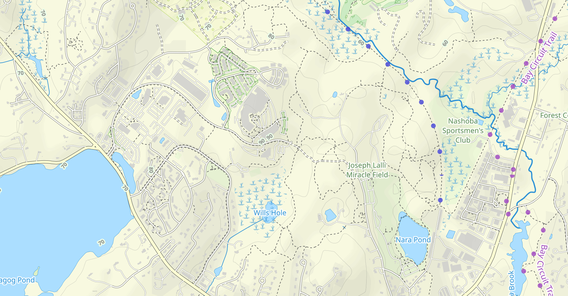 Willis Hole Conservation Land and Nara Park Loop