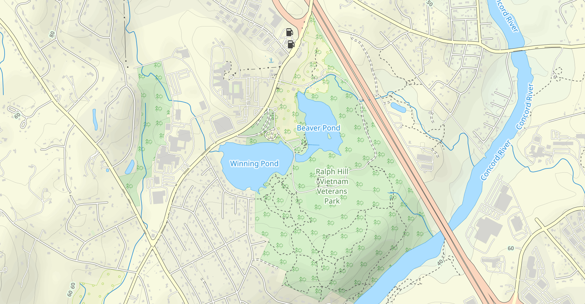 Beaver Pond to Green and Yellow Loop