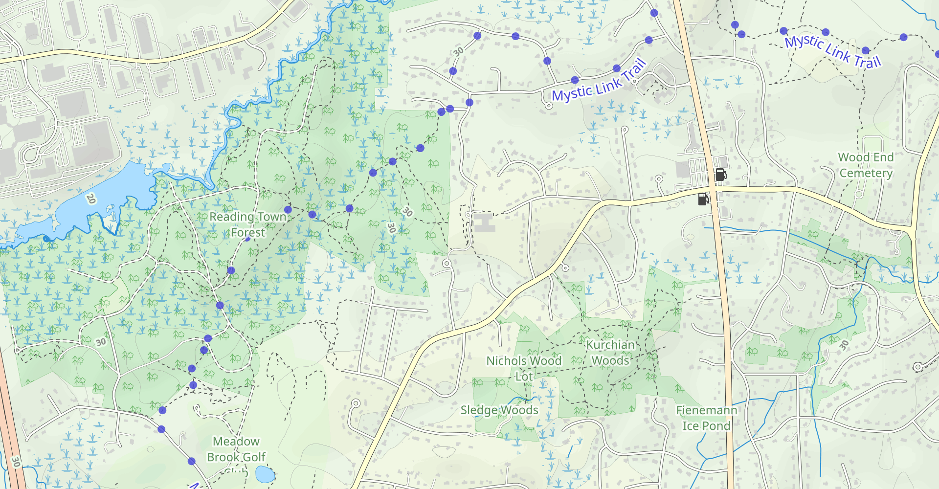 Town Forest Loop
