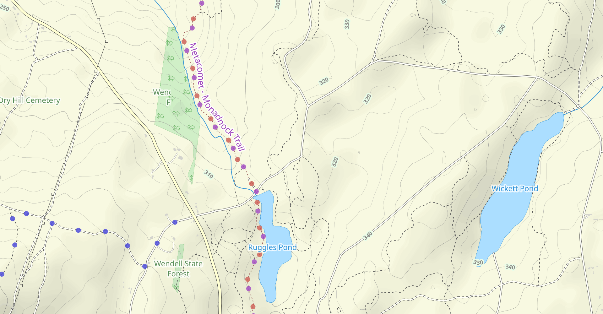 Pine Tree Trail
