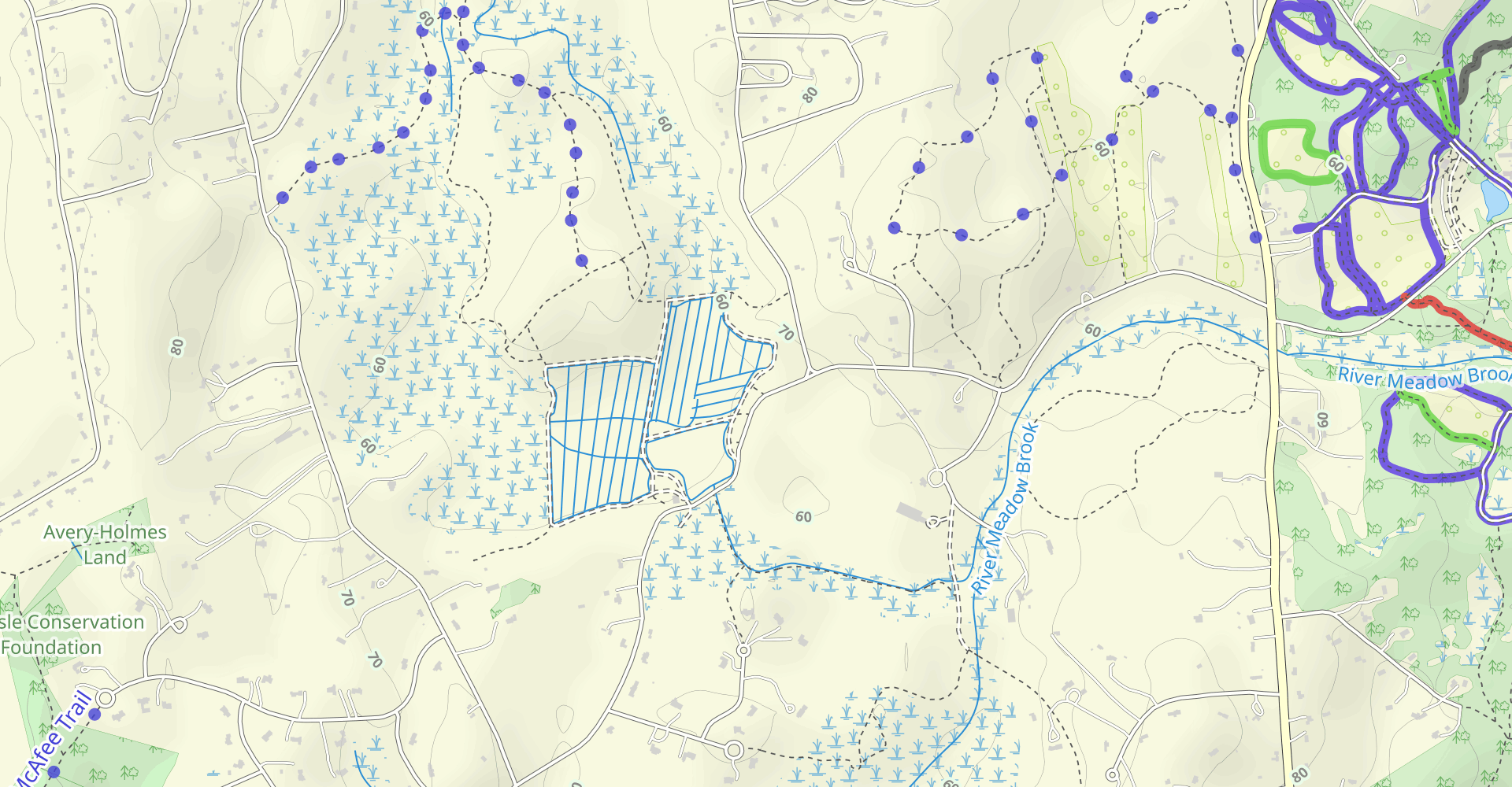 Peninsula, Pipeline, West and East Bog Loop