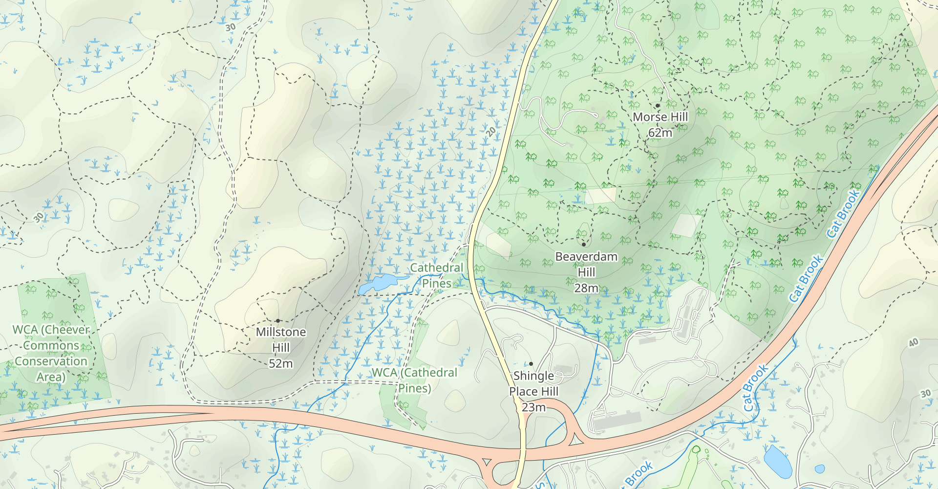 Old Manchester-Essex, Pulpit, Ancient Line and Cedar Swamp Trail Loop