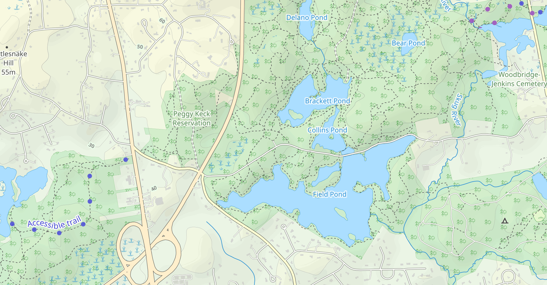 Brackett Pond Loop