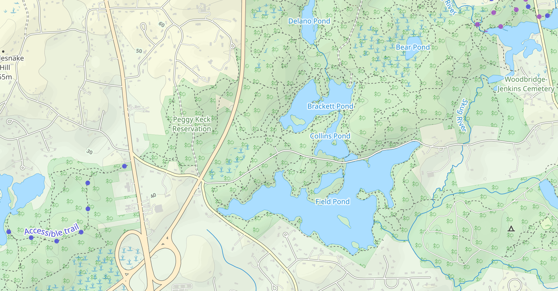Brackett Pond and Bear Pond Loop