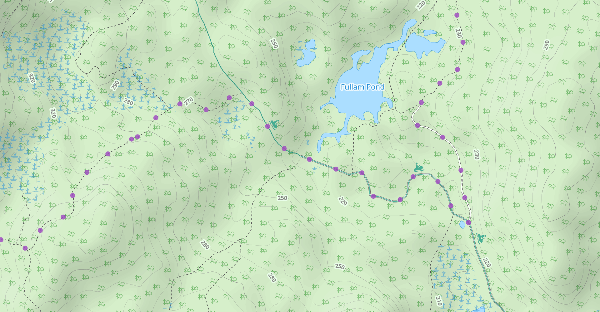Chestnut Hill, Reservoir, and North Ponds Trail Loop