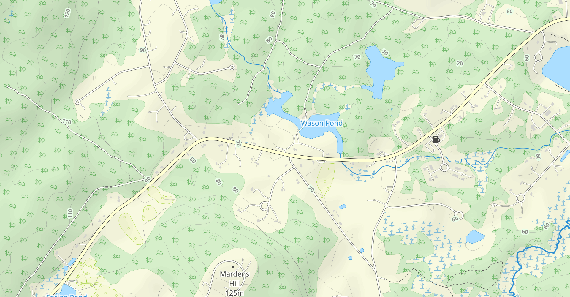 Wason Pond