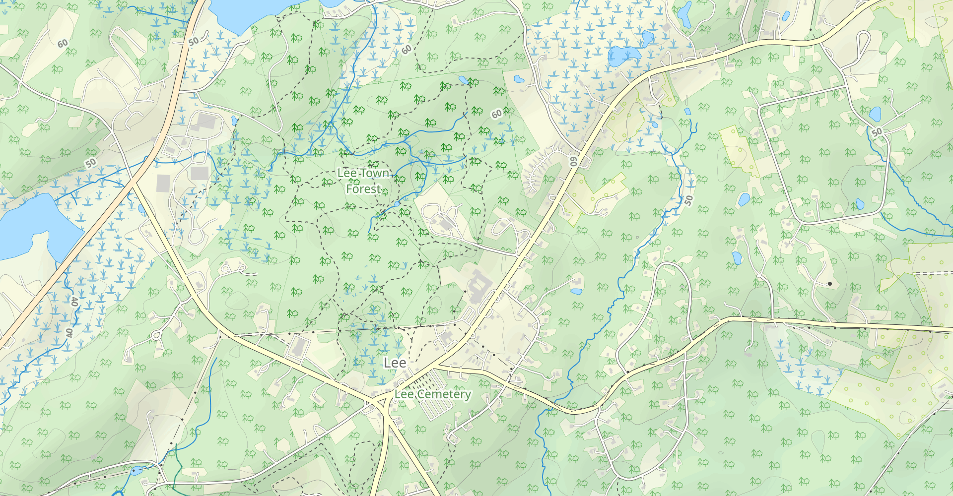 Lee Town Forest Trail Loop