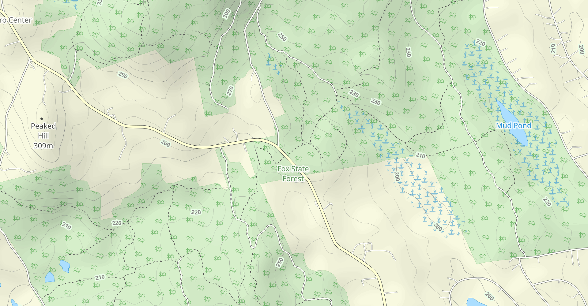 Mushroom Trail