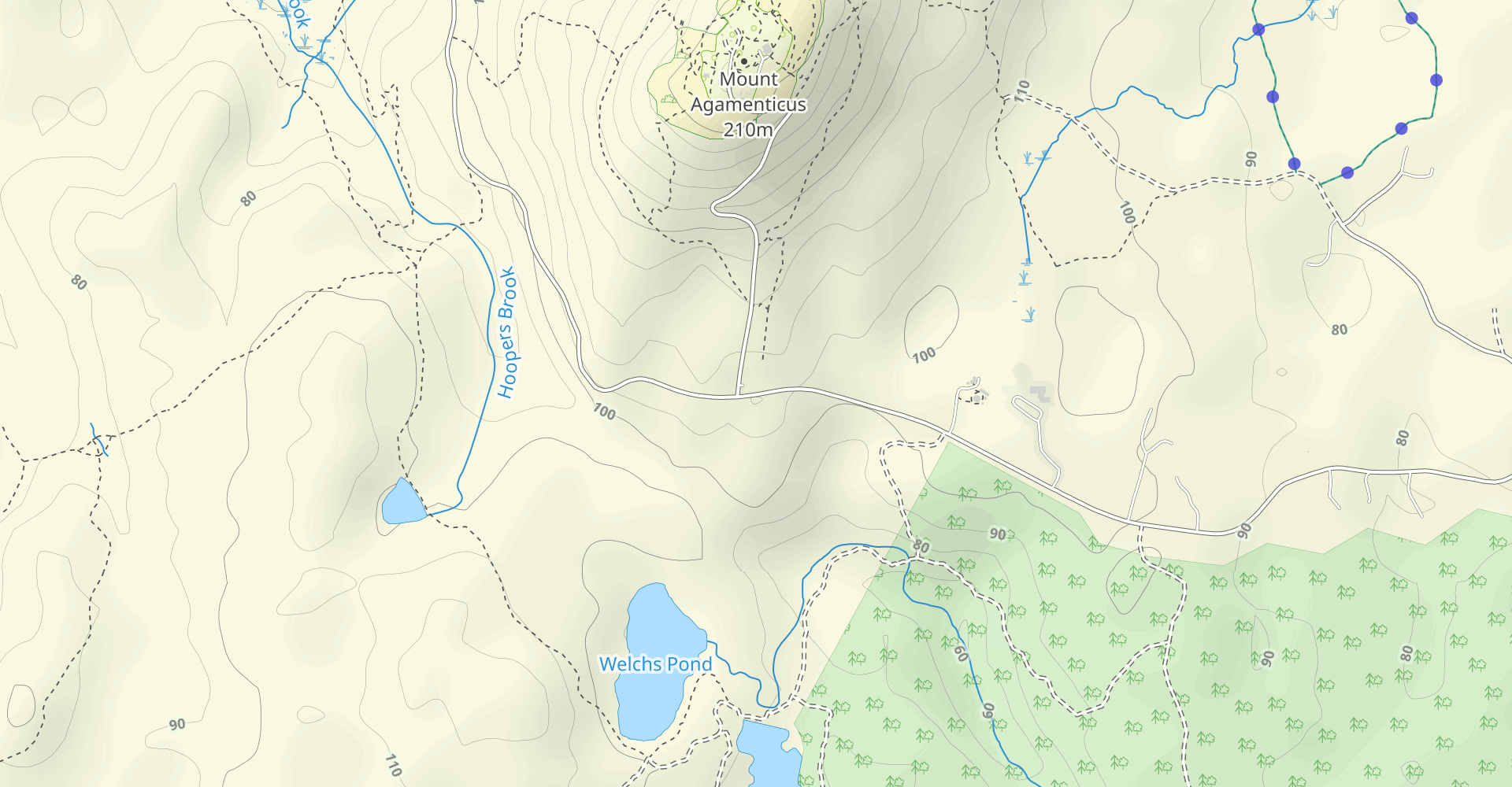 Porcupine, Darter, Third Hill, Ridge, Sweet Fern Trail Loop