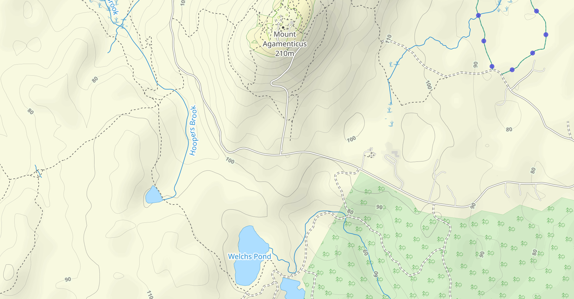 Mount Agamenticus via Ring Trail
