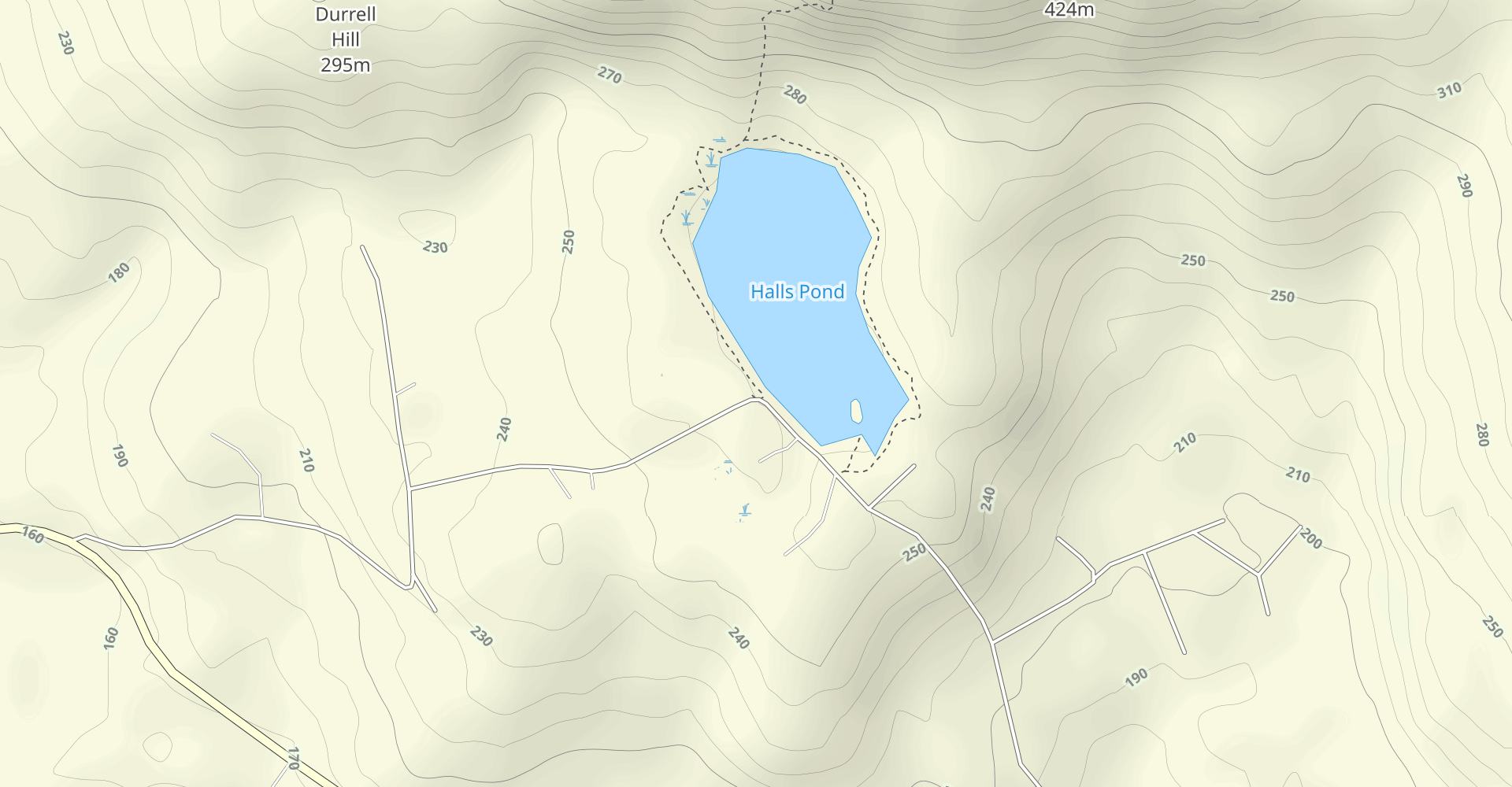 Hall Pond and Singepole Mountain Trail