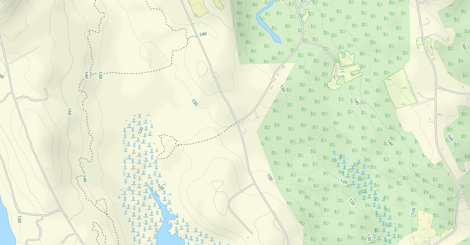 Witt Swamp Preserve Loop