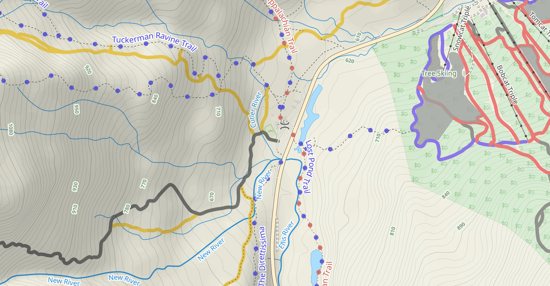 Mount Washington via Glen Boulder, Davis Path, Alpine Garden, Lion Head, and Tuckerman Ravine