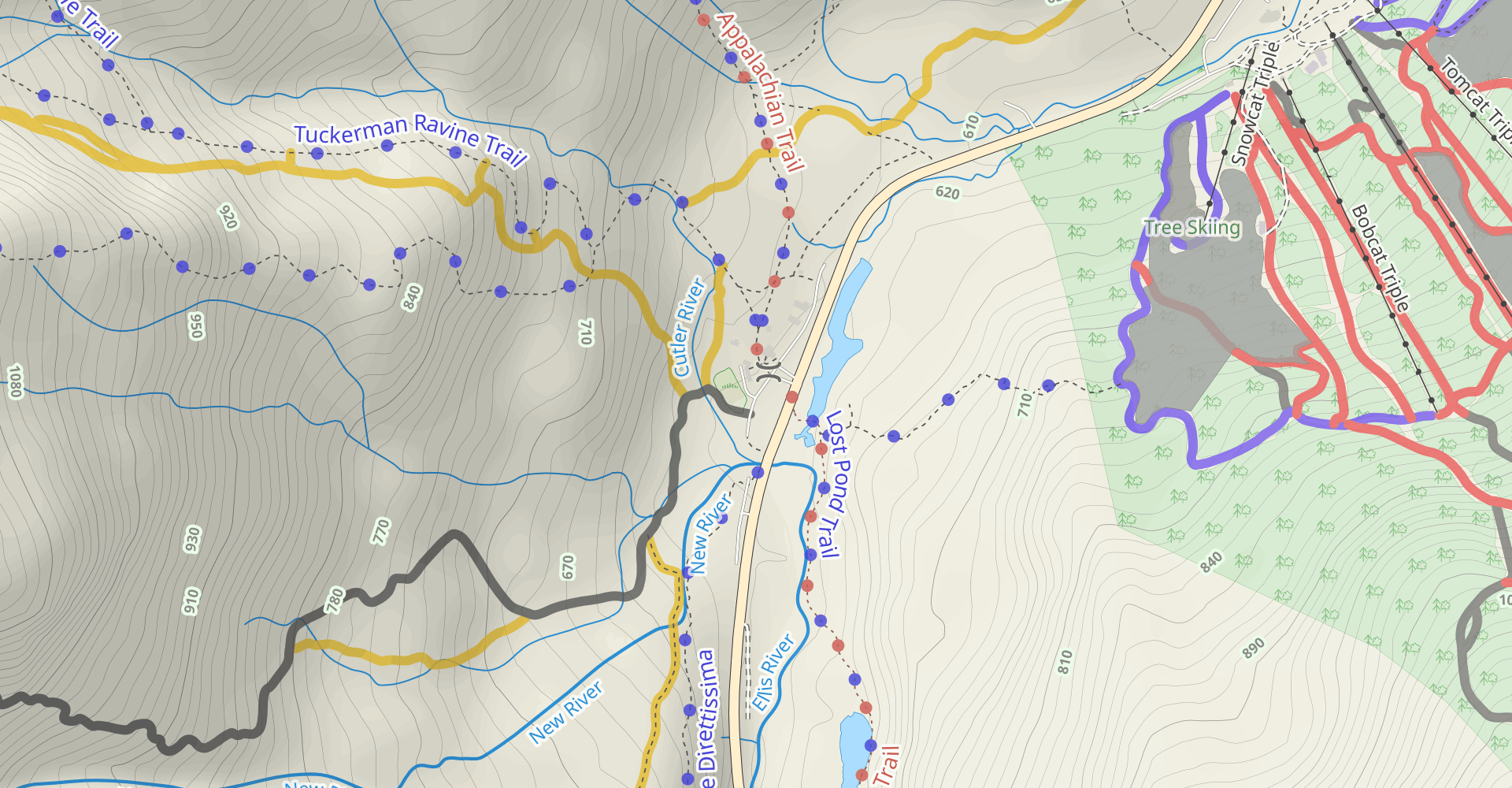 Mt. Washington loop via John Sherburne Ski Trail to Huntington Ravine to Lion Head