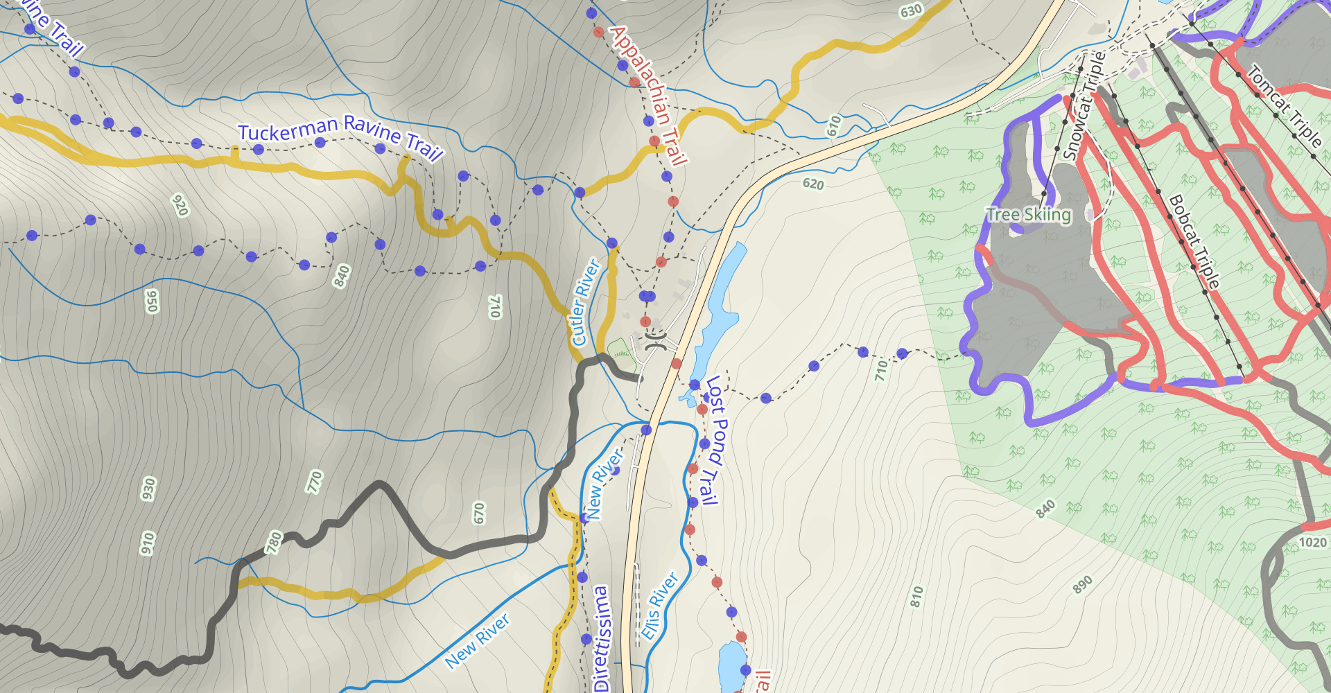 Boott Spur Trail
