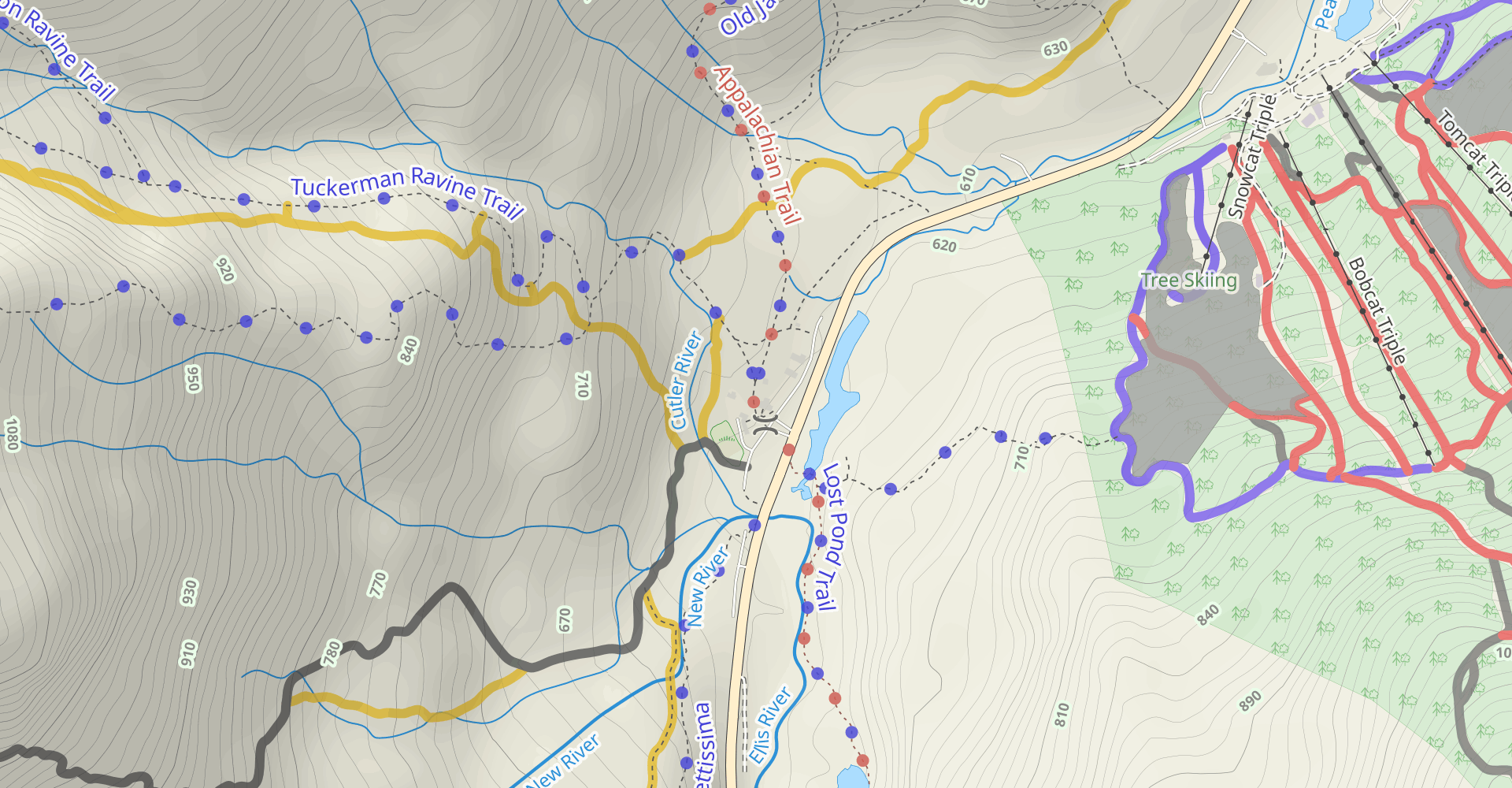 Tuckerman Ravine Trail to Mount Washington