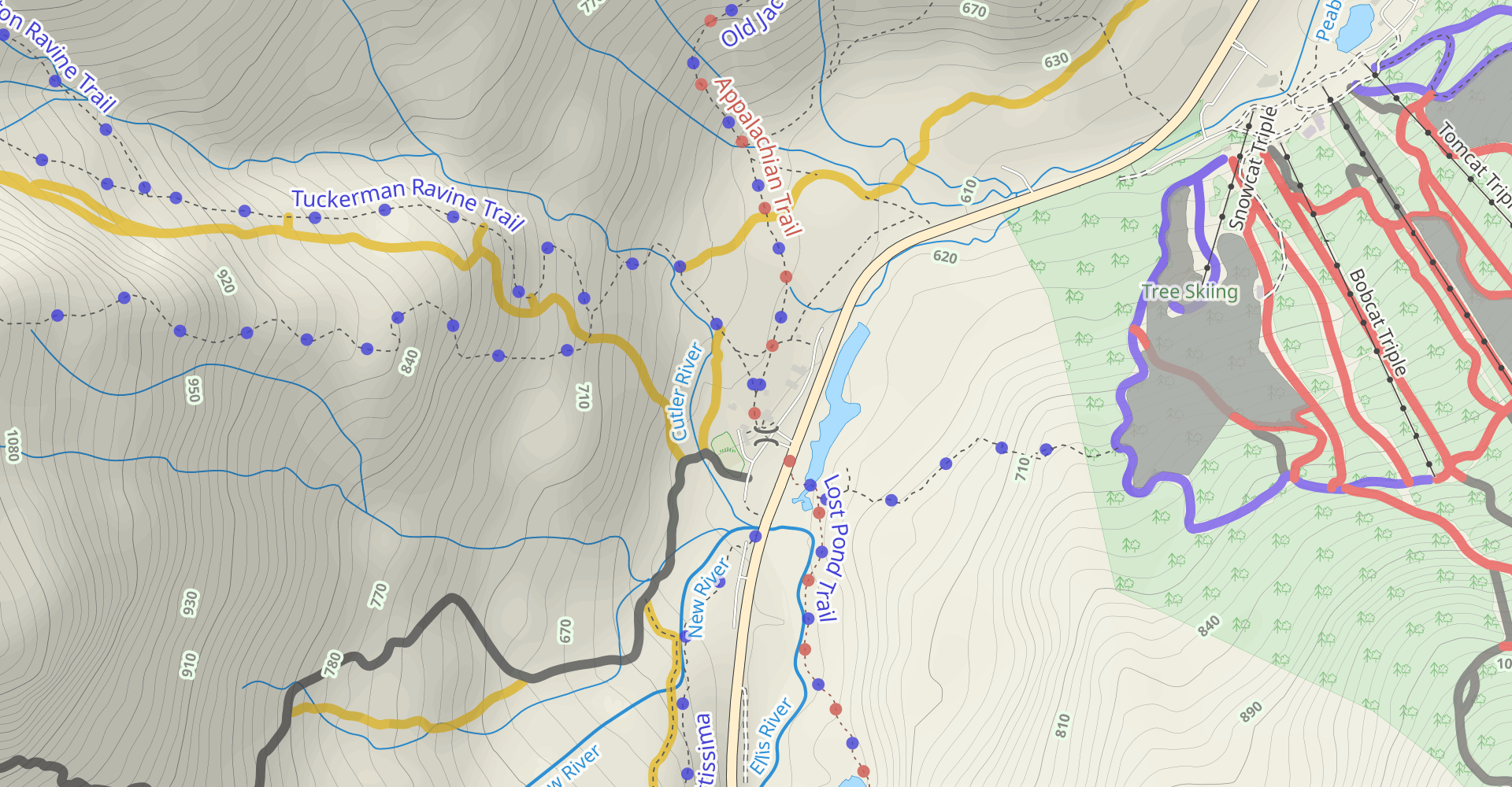 Mount Washington via Tuckermans Ravine and Boott Spur Trail
