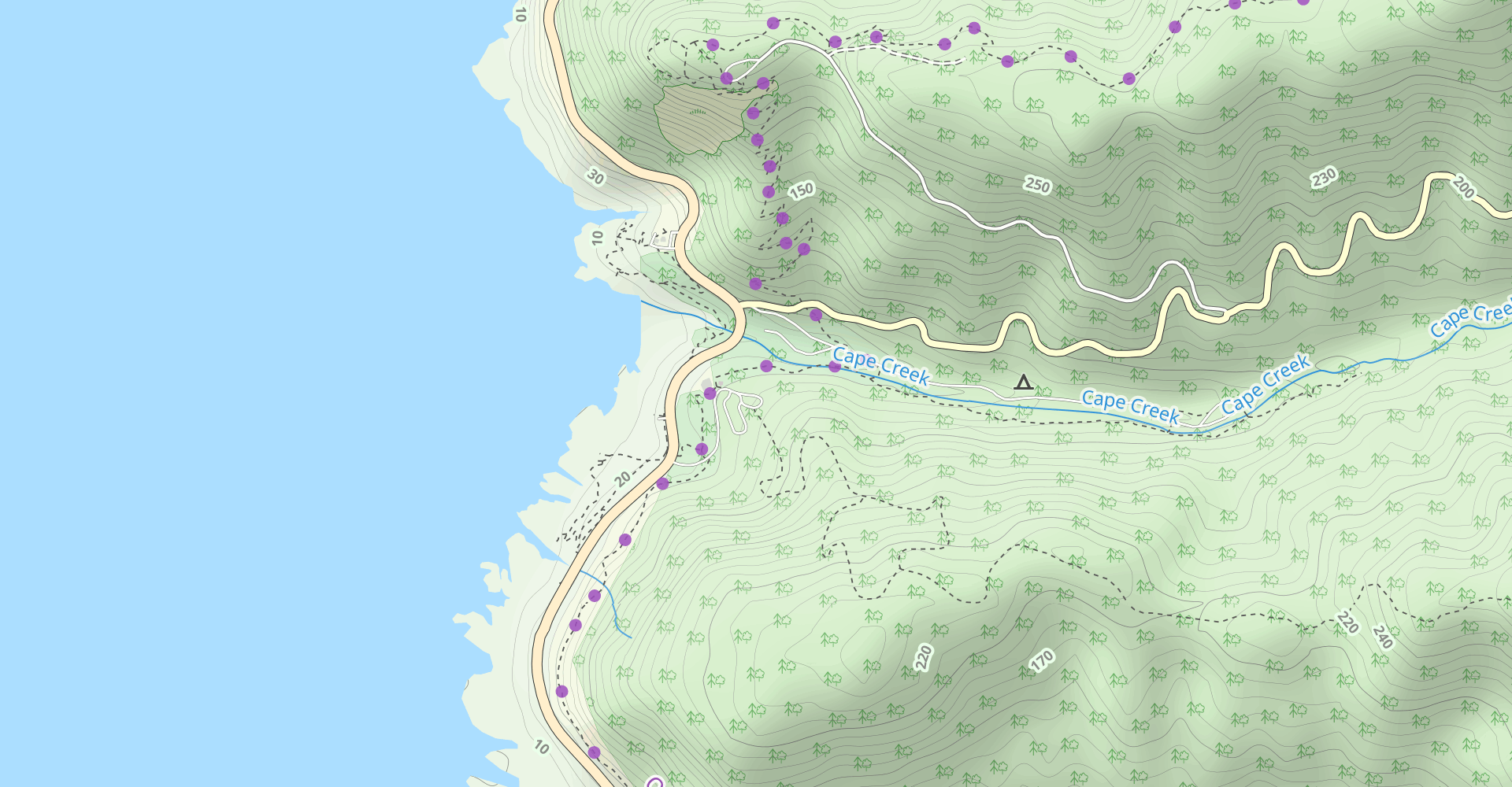 Cook's Ridge and Gwynn Creek Loop Trail