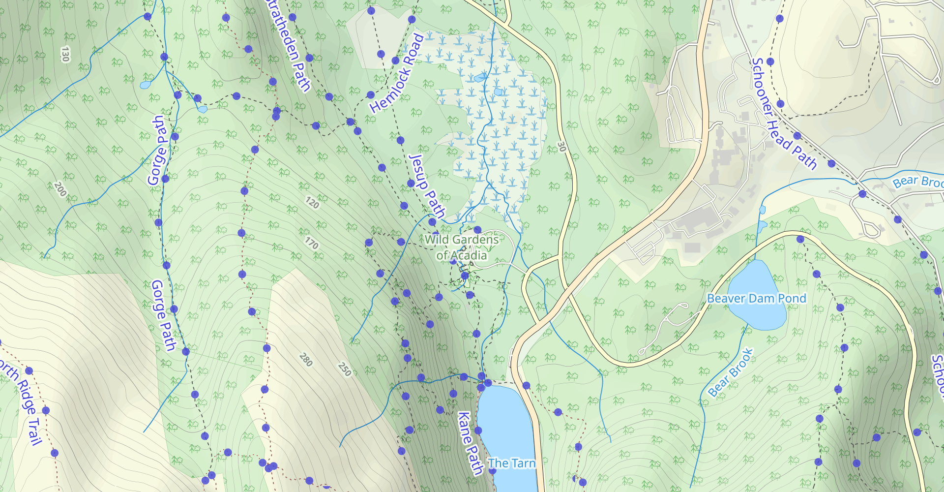 Homans and Emery Path