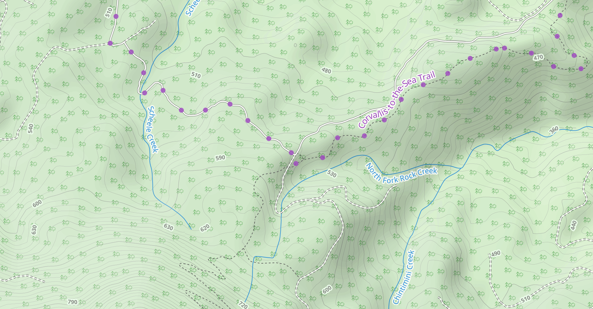 North Ridge Trail to Marys Peak