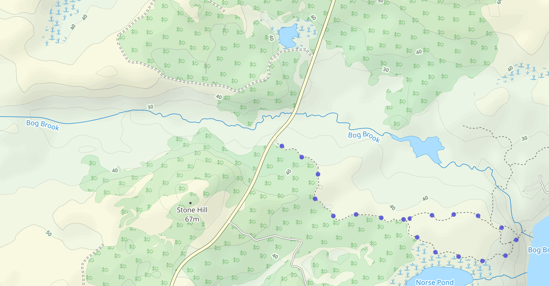 Norse Pond Trail