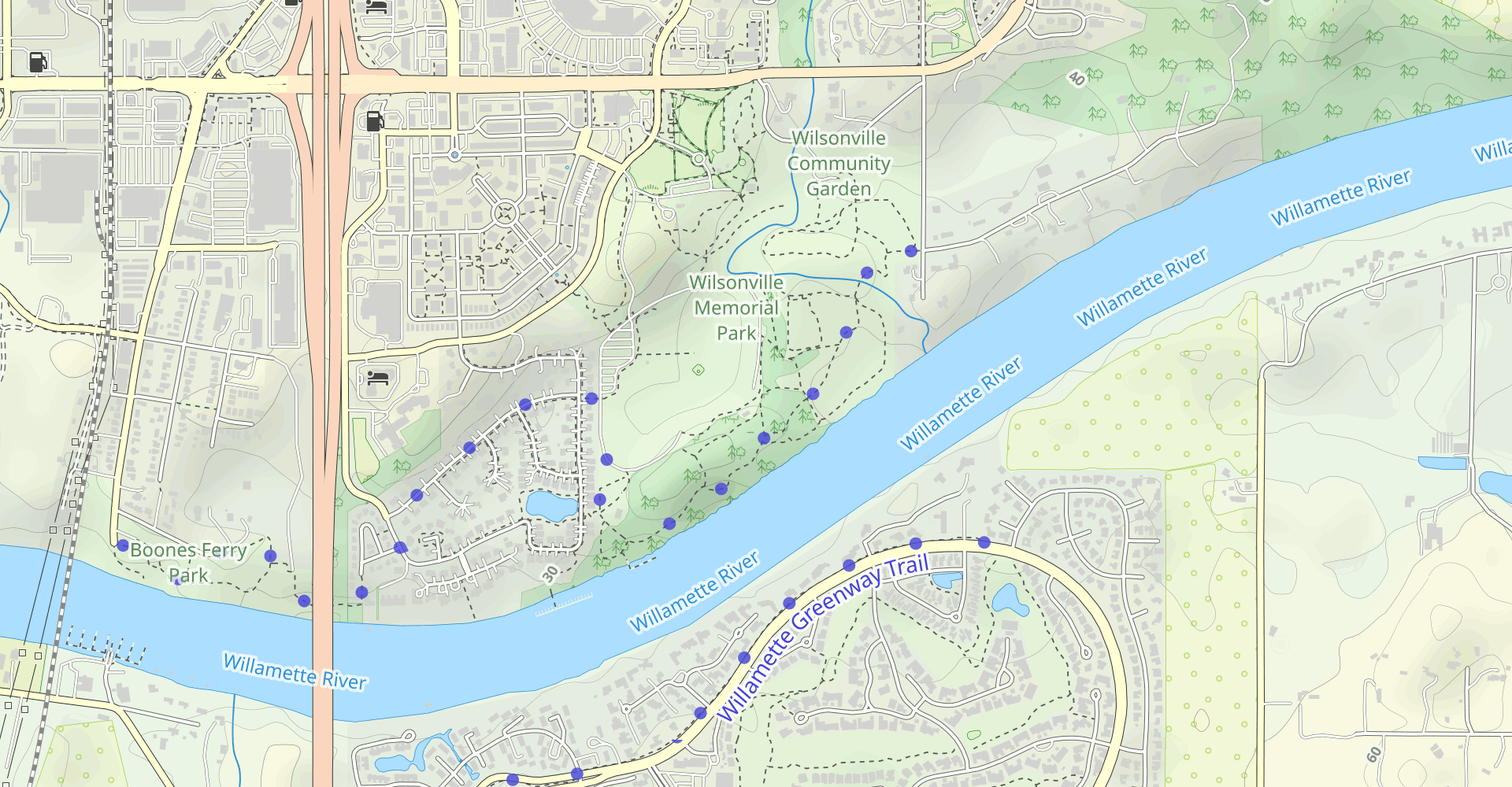 Memorial Park Forest Trail