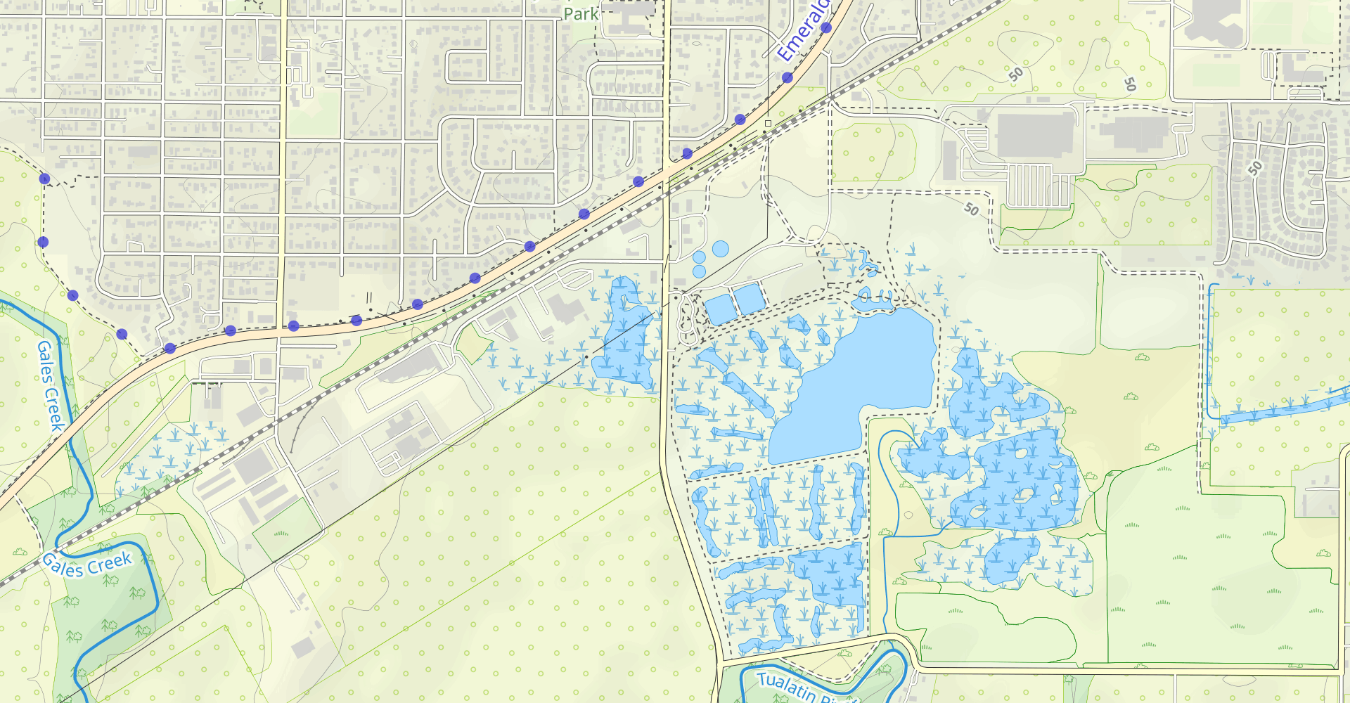 Fernhill Wetlands