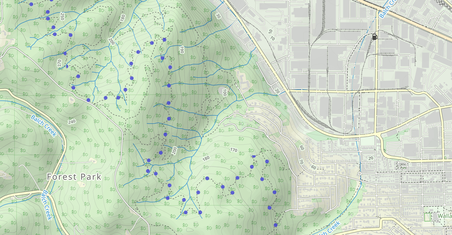 Wild Cherry, Wildwood, Alder, Dogwood Loop via Leif Erikson Drive